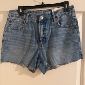 American Eagle Outfitters Light Blue Jean Shorts